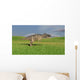 Ceratosaurus Hunting Prehistoric Grasslands Wall Decal Design 6
