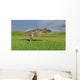Ceratosaurus Hunting Prehistoric Grasslands Wall Decal Design 6