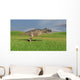 Ceratosaurus Hunting Prehistoric Grasslands Wall Decal Design 6