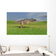 Ceratosaurus Hunting Prehistoric Grasslands Wall Decal Design 6