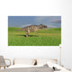 Ceratosaurus Hunting Prehistoric Grasslands Wall Decal Design 6