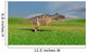 Ceratosaurus Hunting Prehistoric Grasslands Wall Decal Design 6