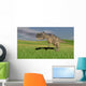 Ceratosaurus Hunting Prehistoric Grasslands Wall Decal Design 5