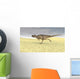 Ceratosaurus Running across Barren Wall Decal Design 8