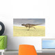 Ceratosaurus Running across Barren Wall Decal Design 8