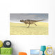 Ceratosaurus Running across Barren Wall Decal Design 8