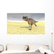 Ceratosaurus Running across Barren Wall Decal Design 7