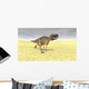 Ceratosaurus Running across Barren Wall Decal Design 6
