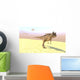 Ceratosaurus Hunting Barren Desert Wall Decal Design 3