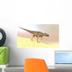 Ceratosaurus Hunting Barren Desert Wall Decal Design 1