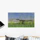Monolophosaurus Walking through Tall Wall Decal