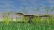 Monolophosaurus Walking through Tall Wall Decal