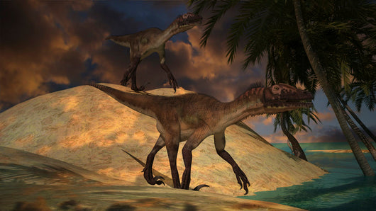 Pair Utahraptors Hunting for Wall Decal