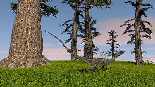 Coelophysis Running through Grassy Wall Decal Design 2