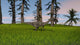 Coelophysis Running through Grassy Wall Decal Design 1