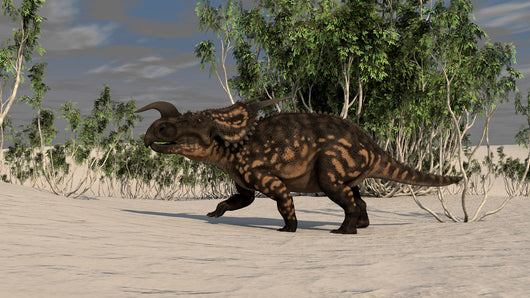 Brown Einiosaurus Desert Environment Wall Decal