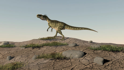 Monolophosaurus Walking across Open Wall Decal Design 7