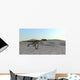 Utahraptor Running across Desert Wall Decal Design 3