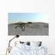 Utahraptor Running across Desert Wall Decal Design 3