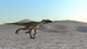 Utahraptor Running across Desert Wall Decal Design 3
