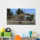 Ceratosaurus Hunting down Triceratops Wall Decal