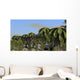 Utahraptor Roaming Prehistoric Environment Wall Decal Design 2
