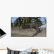 Ceratosaurus Hunting Shoreline Lake Wall Decal Design 1