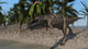 Ceratosaurus Hunting Shoreline Lake Wall Decal Design 1