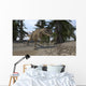 Ceratosaurus Hunting Prehistoric Environment Wall Decal Design 6