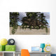 Brown Einiosaurus Grazing Prehistoric Wall Decal
