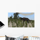 Brown Einiosaurus Grazing Desert Wall Decal Design 1