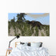 Brown Einiosaurus Grazing Desert Wall Decal Design 1