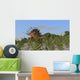 Kentrosaurus Grazing amongst Desert Wall Decal Design 2