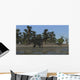 Spinosaurus Hunting for Food Wall Decal Design 2