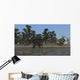 Spinosaurus Hunting for Food Wall Decal Design 2