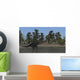 Spinosaurus Hunting for Food Wall Decal