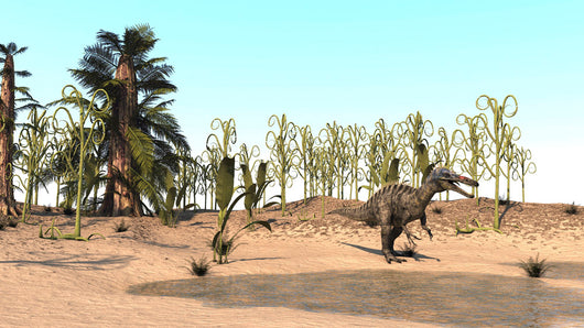 Suchomimus Walking through Desert Wall Decal Design 2