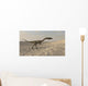 Suchomimus Walking through Desert Wall Decal Design 1
