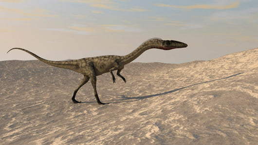 Suchomimus Walking through Desert Wall Decal Design 1