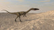 Suchomimus Walking through Desert Wall Decal Design 1