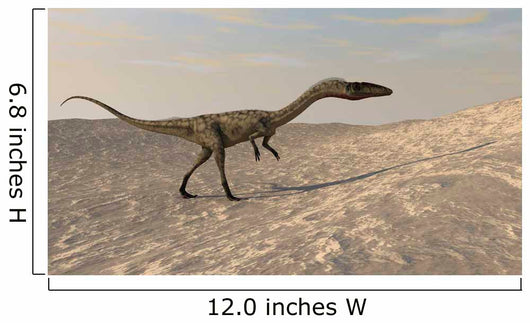 Suchomimus Walking through Desert Wall Decal Design 1