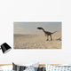 Coelophysis Walking across Barren Wall Decal Design 2