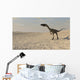 Coelophysis Walking across Barren Wall Decal Design 2