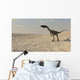 Coelophysis Walking across Barren Wall Decal Design 2