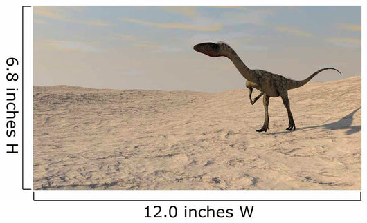 Coelophysis Walking across Barren Wall Decal Design 2