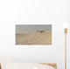 Coelophysis Running across Barren Wall Decal Design 2