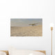 Coelophysis Running across Barren Wall Decal Design 2