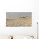 Coelophysis Running across Barren Wall Decal Design 2