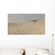 Coelophysis Running across Barren Wall Decal Design 2