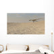 Coelophysis Running across Barren Wall Decal Design 2